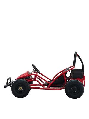 1000w Electric Go Kart Mini Dune Buggy for Kids 2WD Driving Type 1440*820*860mm
