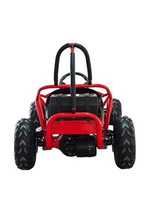 1000w Electric Go Kart Mini Dune Buggy for Kids 2WD Driving Type 1440*820*860mm