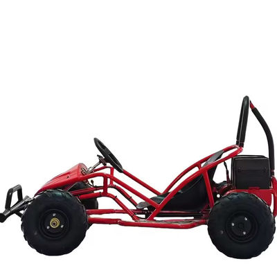 Electric Go Kart for Kids Design Playground Racing Games 1000w 48v Shaft