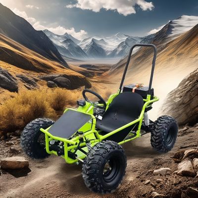 Electric Kids Go Kart with 2024 1000W 1200W Brushless Motor and Big Power 3 Speed Buggy