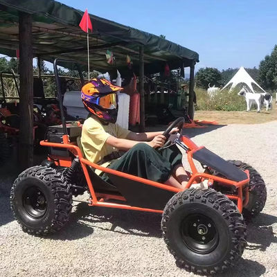 Amusement Park Rental Golf Buggy Cart with 1000W Brushless Motor and EEC Certification