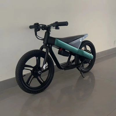 16inch Children Electric Balance Bike with Steel Frame and Titanium Rim Material