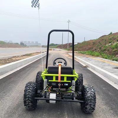 1000W Powerful Motors Electric Karts for Adults 2024 Model and High Grade Ability