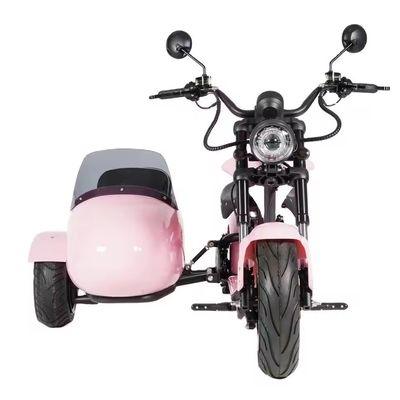 2000W Three Wheel Fat Tire Electric Cargo Tricycle Bicycle Perfect for Your B2B Needs