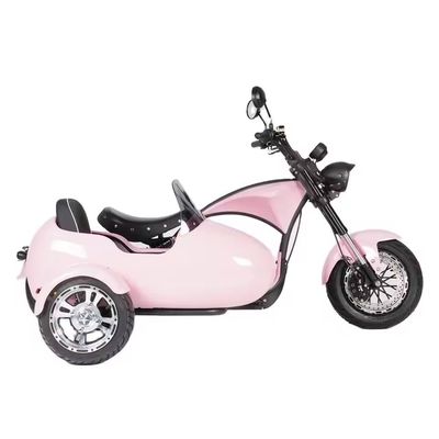 2000W Three Wheel Fat Tire Electric Cargo Tricycle Bicycle Perfect for Your B2B Needs