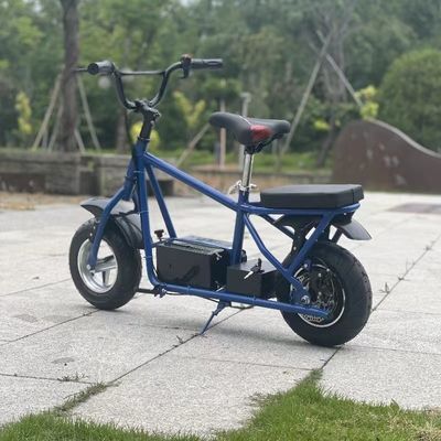 Elevate Your 10-Year-Old's Cycling Experience with this 24V8AH Battery Mountain Bike