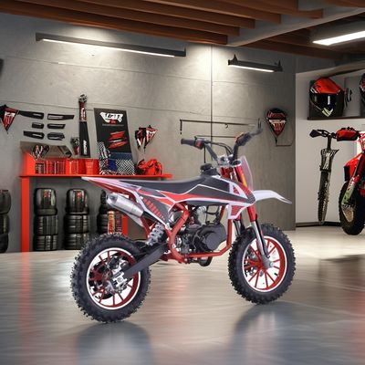 Experience the Speed and Power of 49cc Engine Dirt Bikes for Displacement 50CC