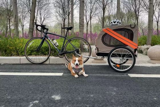 Child Stroller Carrier Bike Trailer Pet Outdoor Camping Trailer with Front 14&quot; Tire