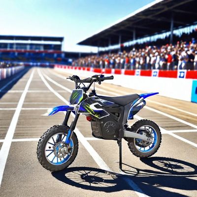 1200W Electric Dirt Bike with Stickers and Max. Speed 40 60km/h Off-Road Motorcycles