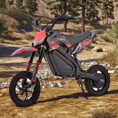 350W Motor Power Kids Dirt Bike 24v 500W Electric Motorcycle with Front and Rear Brake