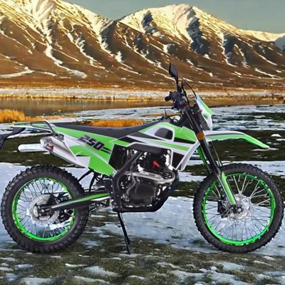 250cc Engine Customized Colors Supported Off-Road Gasoline Dirt Bike for Adults