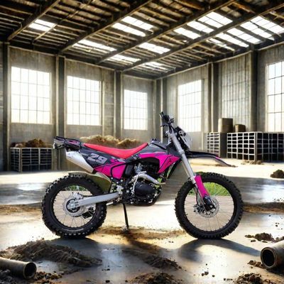Electric Start 250cc Enduro Dirt Bike Max. Speed 100km/h Ideal for Off-Road Adventures