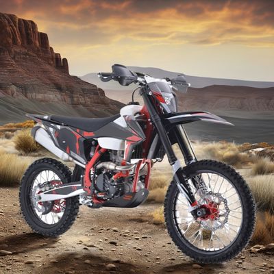 Aotong Motor Pit Bike Dirt Bike Pocket Bike Moto Cross Supply Engine 300cc Brake DISC