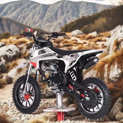 Customzied Supported Colors 60CC Engine 4 Stroke Children's Dirt Bike with DISC Brake