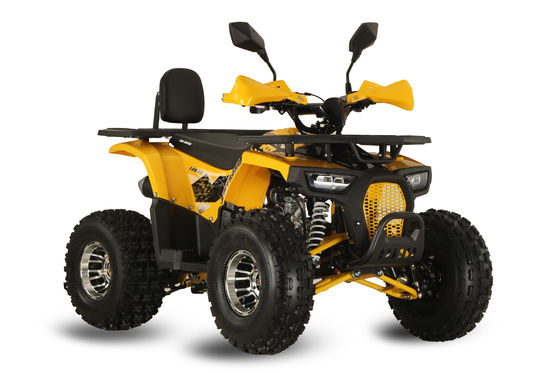 125CC ATV Racing Buggy Quadricycle with 12V Voltage and Smooth Automatic Transmission