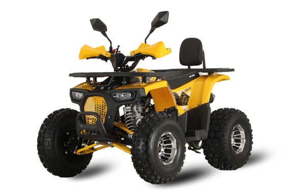 125CC ATV Racing Buggy Quadricycle with 12V Voltage and Smooth Automatic Transmission