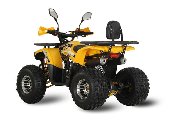 125CC ATV Racing Buggy Quadricycle with 12V Voltage and Smooth Automatic Transmission
