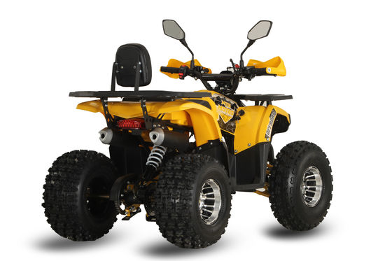125CC ATV Racing Buggy Quadricycle with 12V Voltage and Smooth Automatic Transmission