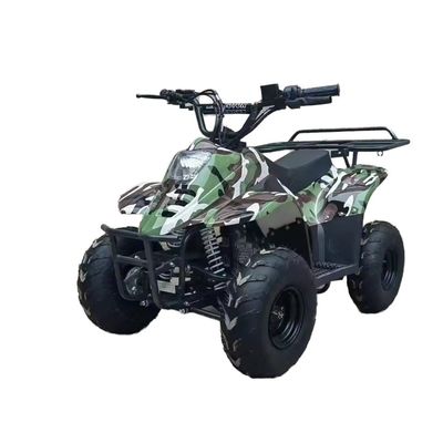70CC/110CC Automatic ATV 4 Stroke Teen Racing Quad 125CC All-Terrain Beach Buggy