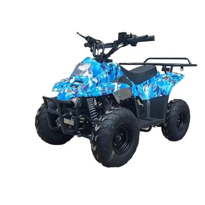 70CC/110CC Automatic ATV 4 Stroke Teen Racing Quad 125CC All-Terrain Beach Buggy