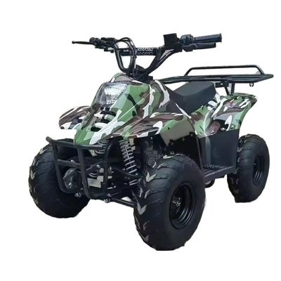 125CC All-Terrain Beach Buggy Fuel Gas 70CC/110CC Automatic Quad ATV Buggy for Teens Racing