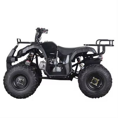 110cc 125cc ATV with Automatic Chain Drive Aotong's Compact Design Chinese Product