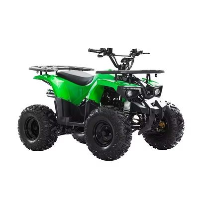 110CC 125cc Chain Drive ATV with CE Certificate Maximum Speed 50-75Km/h and Materials