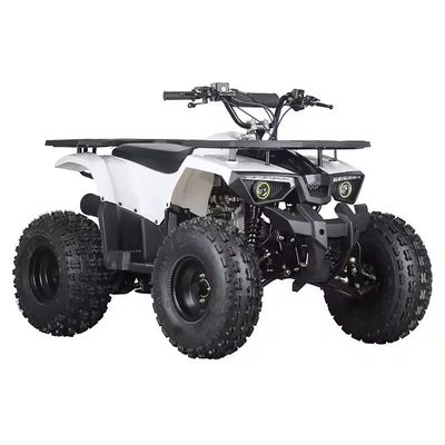 110CC 125cc Chain Drive ATV with CE Certificate Maximum Speed 50-75Km/h and Materials