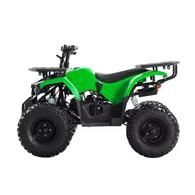 110CC 125cc Chain Drive ATV with CE Certificate Maximum Speed 50-75Km/h and Materials