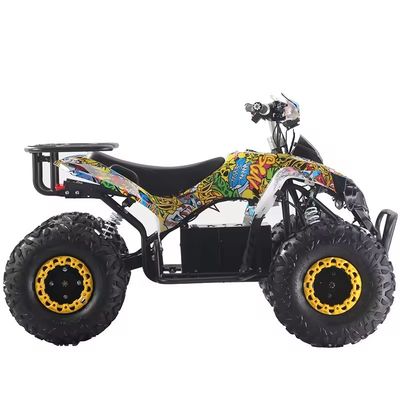 60V Voltage Electric ATV Quad for Adults 1000W/1500W 4 Wheel Recreation Utility ATVs