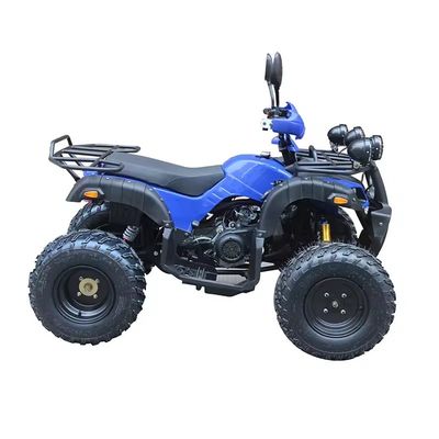 12V Voltage Adults Quads Petrol 150cc Four-wheeled Quadricycle with Brushless Motor