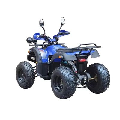 12V Voltage Adults Quads Petrol 150cc Four-wheeled Quadricycle with Brushless Motor