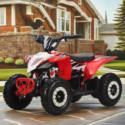 36V Kids Quad Electric 1000w Atv 125cc 6inch Automatic Quad Motorcycle for Children 2WD