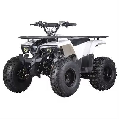 125cc Engine Quadbike ATV Motorcycle Engine 125cc for Differential Lock Unequipped