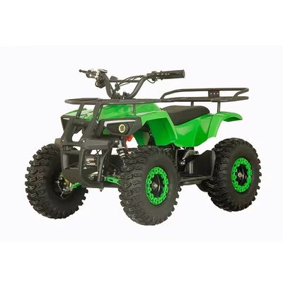 Street Legal 1200W ATV Four Wheels Quad Bike with 2WD and 30-50km Driving Mileage