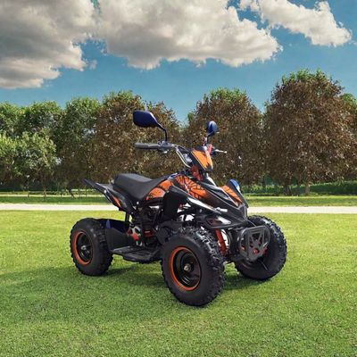 Kids 50cc 4 Wheeler Quad Atv with Ce Certification and Mini Four Wheel Motorcycle 49cc