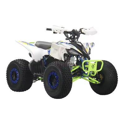 110cc 125cc Quad ATVs for Adults Design and Unequipped Differential Lock
