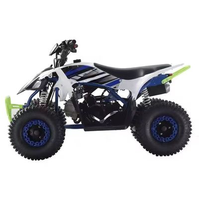 110cc 125cc Quad ATVs for Adults Design and Unequipped Differential Lock