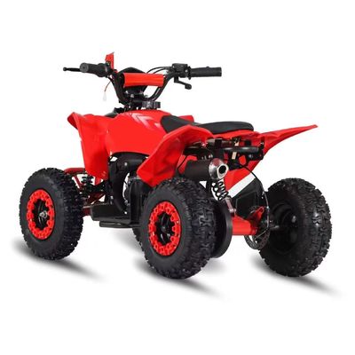 Driving Type 2WD 2024 49cc 50cc 2 Stroke Mini Quad bike gas powered ATV For Kids with CE