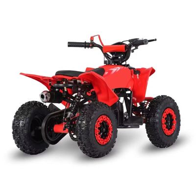 Driving Type 2WD 2024 49cc 50cc 2 Stroke Mini Quad bike gas powered ATV For Kids with CE
