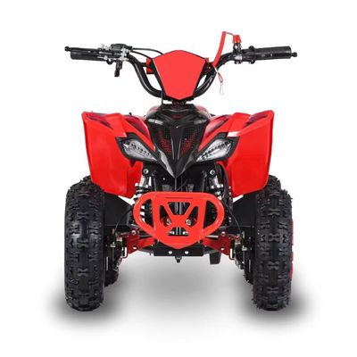 Driving Type 2WD 2024 49cc 50cc 2 Stroke Mini Quad bike gas powered ATV For Kids with CE