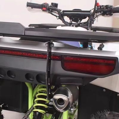 8 Inch Tire Gasoline 125cc ATV Customized Colors and Front Disc Rear Disc Brake System