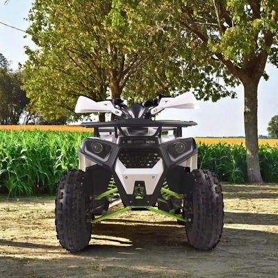 125cc Gas Powered Utility ATV Quad Bike with Minimum Grand Clearance of 100-150mm