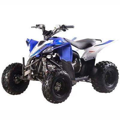 Chain Drive Gas Powered 125cc Quadricycle ATV with Automatic CVT and Fuel System