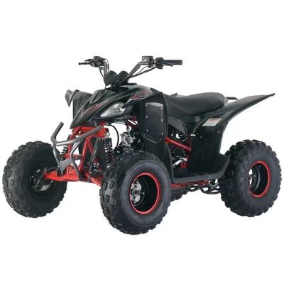 Chain Drive Gas Powered 125cc Quadricycle ATV with Automatic CVT and Fuel System