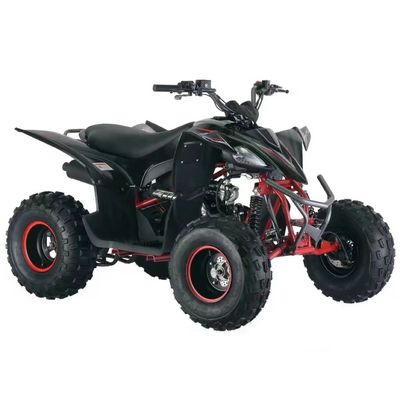 Chain Drive Gas Powered 125cc Quadricycle ATV with Automatic CVT and Fuel System