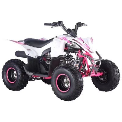 Chain Drive Gas Powered 125cc Quadricycle ATV with Automatic CVT and Fuel System