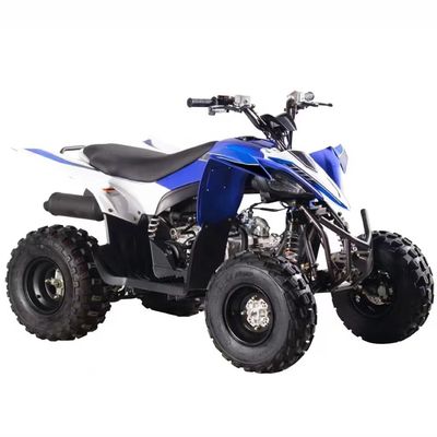 Chain Drive Gas Powered 125cc Quadricycle ATV with Automatic CVT and Fuel System