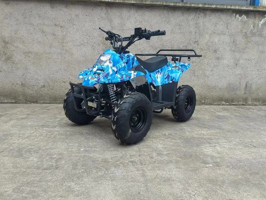 70CC/110CC Automatic Quad Fun toy ATV Buggy For Teens with 1 Cylinder and Affordable