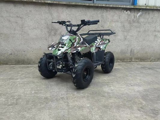 70CC/110CC Automatic Quad Fun toy ATV Buggy For Teens with 1 Cylinder and Affordable